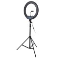 18 inch 55W Two-speed Dimmable Anchor Photography Self-timer LED Ring Fill-in Light with Tripod
