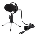 BM-700 USB Professional Condenser Microphone