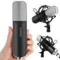 Yanmai Q8 Professional Game Condenser Sound Recording Microphone with Holder, Compatible with PC and