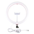 PULUZ 11.8 inch 30cm USB 3 Modes Dimmable Dual Color Temperature LED Curved Diffuse Light Ring Vlogg