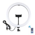 PULUZ 11.8 inch 30cm RGB Dimmable LED Dual Color Temperature LED Curved Diffuse Light Ring Vlogging