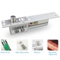 Electric Mortise Lock(Silver)