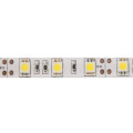 Warm White 60 LED 5050 SMD Waterproof Flexible Car Strip Light, DC 12V, Length: 1m