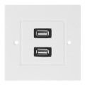 Dual USB 2.0 Female Plugs Home Wall Charger Plate Wall Plate Panel