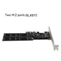 SATA3.0 PCIE3.0 to 2-port M.2 (B-KEY) Adapter Card