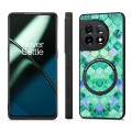 For OnePlus 11 Colored Drawing Leather Skin Magnetic Back Cover Phone Case(Emerald)