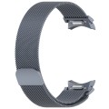 For Samsung Galaxy Watch4 / 4 Classic 46mm Button Style Milan Magnetic Metal Watch Band(Gray)