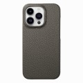 For iPhone 15 Pro Litchi Oil Edge Leather Back Phone Case(Grey)