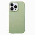 For iPhone 15 Pro Max Litchi Oil Edge Leather Back Phone Case(Tea Green)