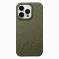 For iPhone 15 Pro Max Litchi Oil Edge Leather Back Phone Case(Green)