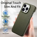 For iPhone 15 Pro Max Litchi Oil Edge Leather Back Phone Case(Green)