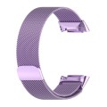 For Fitbit Charge 6 Milan Magnetic Metal Steel Mesh Watch Band(Purple)