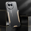 For Realme 11 5G Global Blade Series TPU Hybrid Metal Phone Case(Gold)