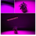 25W 75LEDs Full Spectrum Plant Lighting Fitolampy For Plants Flowers Seedling Cultivation Growing La