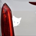 CAT FACE PEERING Pet Cat Car Sticker Decals , Size: 12x15cm