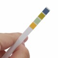 100 Strips/box  pH Test Strips 0-14 Scale Premium Litmus Tester Paper Ideal for Test pH Level of Wat