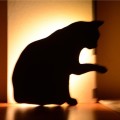 LED Light Control Sound Control Night Light Silhouette Light Shadow Light Cat Wall Light Black batte