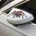 Creative Personality Scratch Cover  Car Body Sticker(Black Spider)