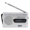 INDIN BC-R21 AM/FM Portable Radio Old Man Morning Practice Player(Silver Gray)