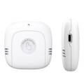 PT216W Indoor And Outdoor Sensor No Screen Graffiti WIFI Model Household Temperature And Humidity Me