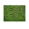 2.1m x 1.5m Green Leaves Wall Birthday party photography background cloth