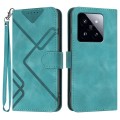 For Xiaomi 14 Pro Line Pattern Skin Feel Leather Phone Case(Light Blue)