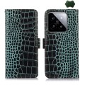 For Xiaomi 14 Pro Crocodile Top Layer Cowhide Leather Phone Case(Green)