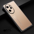 For Honor 100 Pro Frosted Metal Phone Case(Gold)