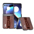 For Motorola Razr 40 Ultra ABEEL Genuine Leather Weilai Series Phone Case(Coffee)