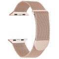 For Apple Watch 3 42mm Milanese Metal Magnetic Watch Band(Retro Gold)