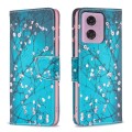 For Motorola Moto G34 5G Colored Drawing Pattern Leather Phone Case(Plum Blossom)