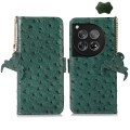 For OnePlus 12 Ostrich Pattern Genuine Leather RFID Phone Case(Green)