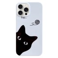 For iPhone 15 Pro Painted Pattern PC Phone Case(Black Cat)