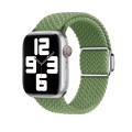 For Apple Watch 8 41mm Nylon Loop Magnetic Buckle Watch Band(Cactus)