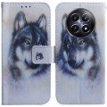 For Realme 12 5G Coloured Drawing Flip Leather Phone Case(White Wolf)
