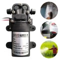 Automotive / Agricultural Electric Sprayer Pump Miniature High Voltage DC Diaphragm Pump Single Thre