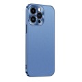 For iPhone 15 Pro Max Starshine Frosted Series Airbag Shockproof Phone Case(Blue)