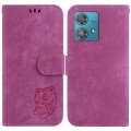 For Motorola Edge 40 Neo Little Tiger Embossed Leather Phone Case(Rose Red)