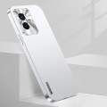 For Honor 100 Streamer Series Micro Frosted Metal Paint PC Phone Case(Silver)