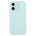 For iPhone 12 Pure Color Liquid Silicone Fine Pore Phone Case(Turquoise)