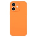 For iPhone 12 Pure Color Liquid Silicone Fine Pore Phone Case(Orange)