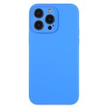For iPhone 12 Pro Pure Color Liquid Silicone Fine Pore Phone Case(Lake Blue)