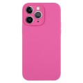 For iPhone 11 Pro Max Pure Color Liquid Silicone Fine Pore Phone Case(Pitaya)