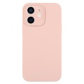 For iPhone 11 Pure Color Liquid Silicone Fine Pore Phone Case(Sand Pink)