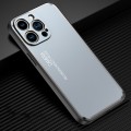 For iPhone 15 Pro Frosted Metal Phone Case(Blue)