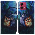 For Motorola Moto G84 Coloured Drawing Flip Leather Phone Case(Oil Painting Owl)