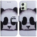 For Motorola Moto G54 Coloured Drawing Flip Leather Phone Case(Panda)