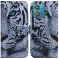 For Motorola Edge 40 Neo Coloured Drawing Flip Leather Phone Case(Tiger)