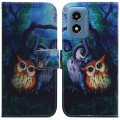 For Motorola Moto G Play 4G 2024 Coloured Drawing Flip Leather Phone Case(Oil Painting Owl)