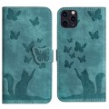 For iPhone 11 Pro Max Butterfly Cat Embossing Flip Leather Phone Case(Wathet)